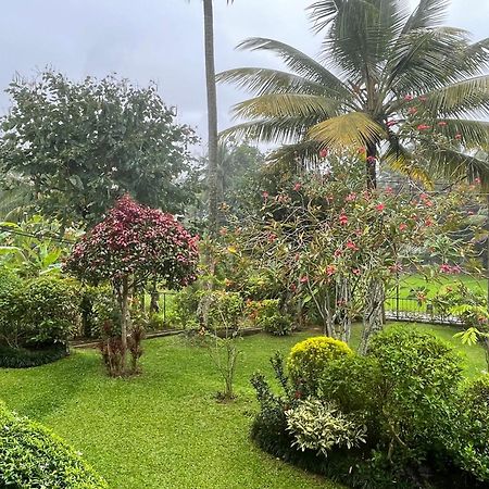 Surveyor'S Residence Bungalow Kandy Bagian luar foto