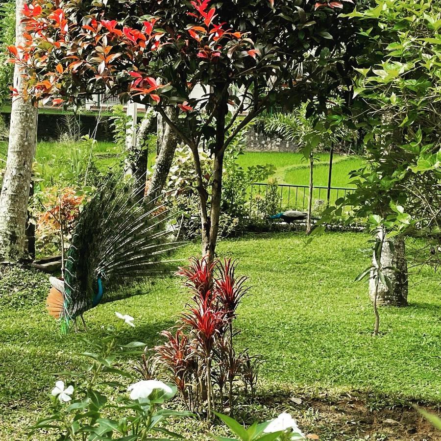Surveyor'S Residence Bungalow Kandy Bagian luar foto