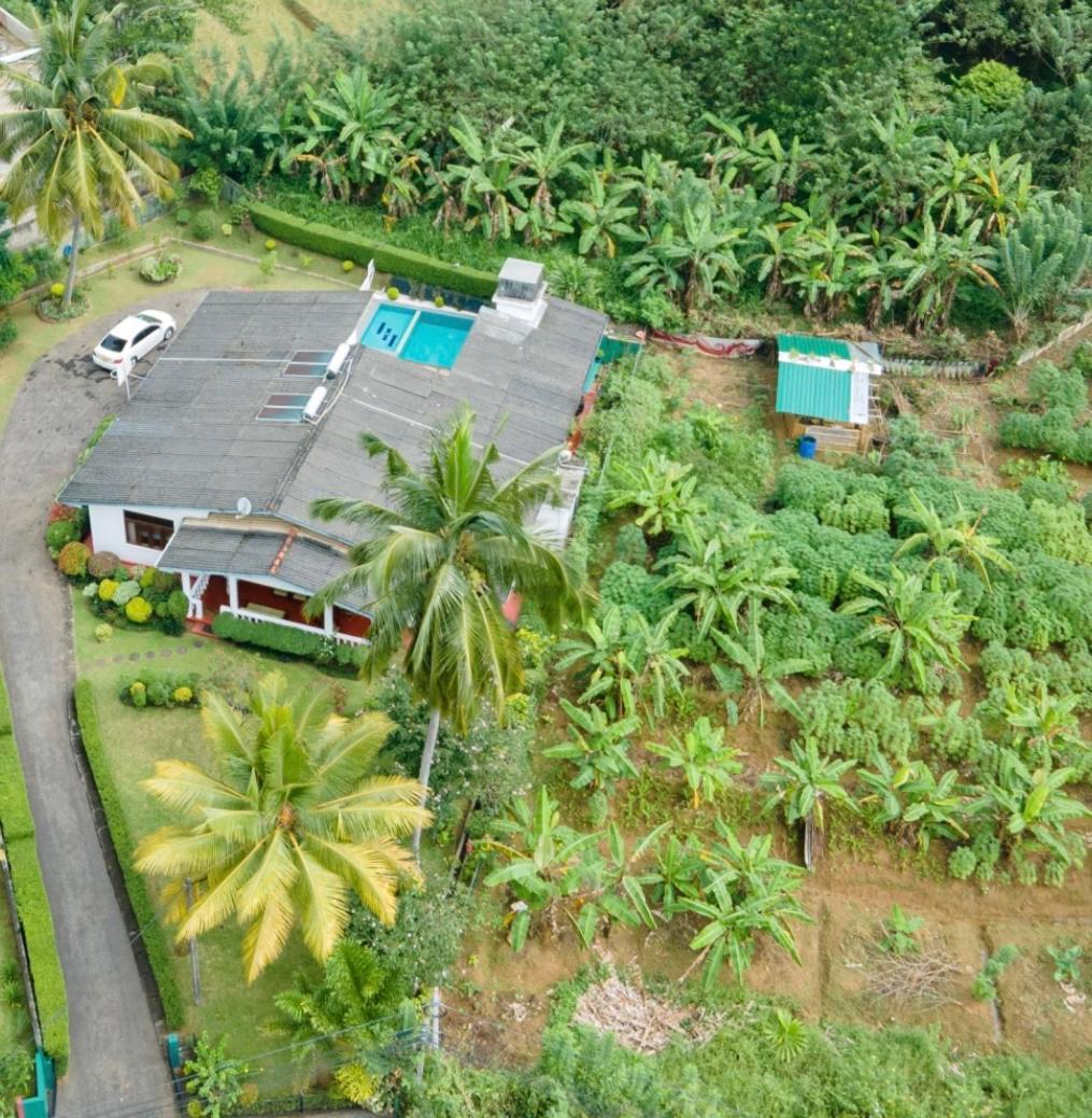 Surveyor'S Residence Bungalow Kandy Bagian luar foto