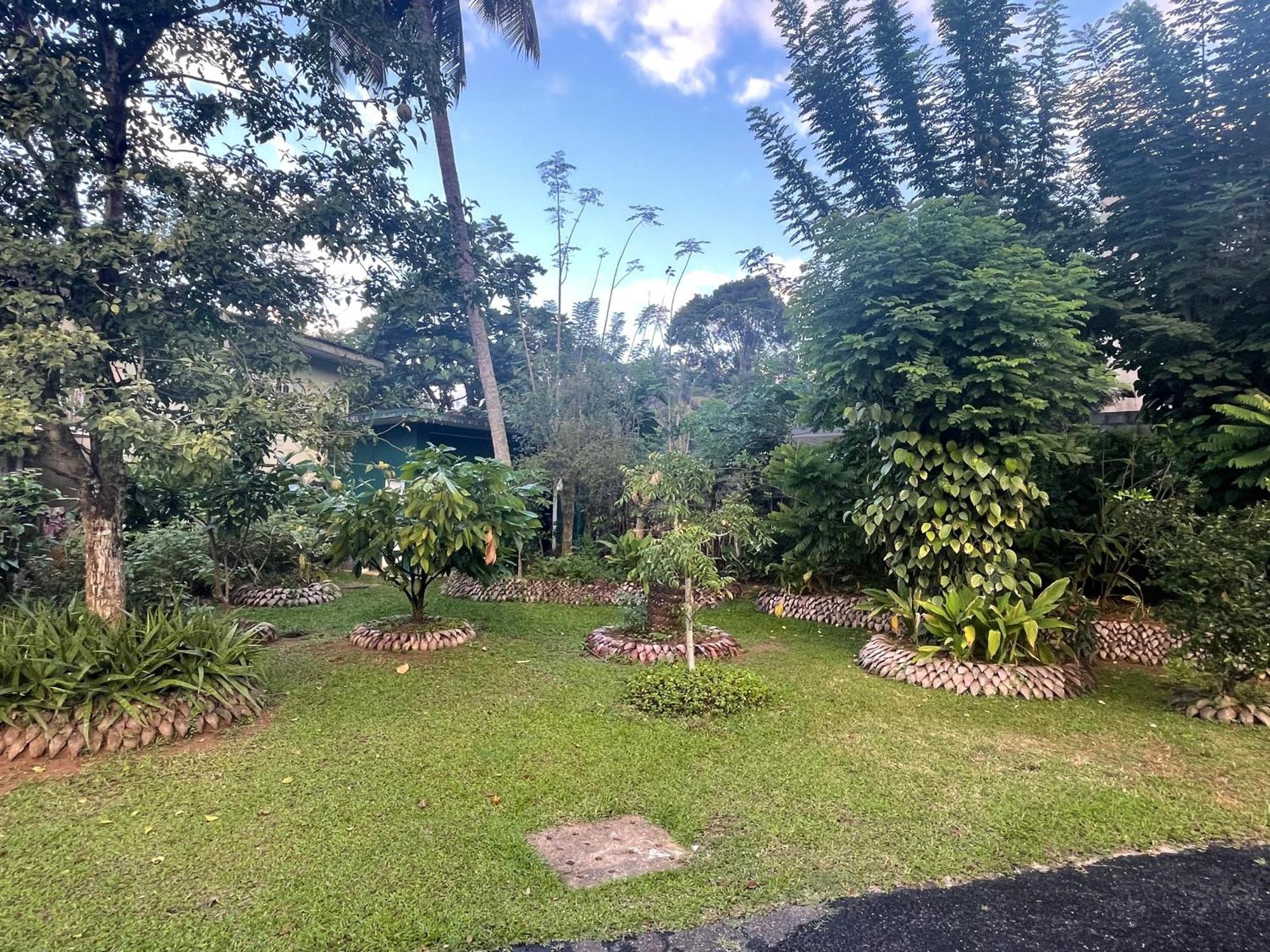 Surveyor'S Residence Bungalow Kandy Bagian luar foto